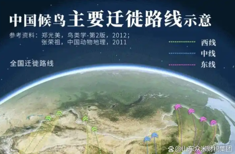 菏泽野生动植物、候鸟类迁徙评价报告代办、菏泽野生动植物、候鸟类迁徙评价报告、菏泽野生动植物、候鸟类迁徙评价报告办理